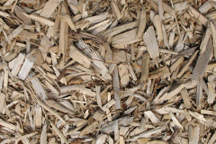 biomass boilers Birchmoor